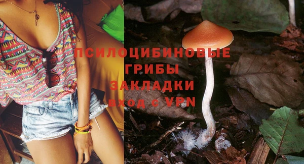 дмт Белокуриха